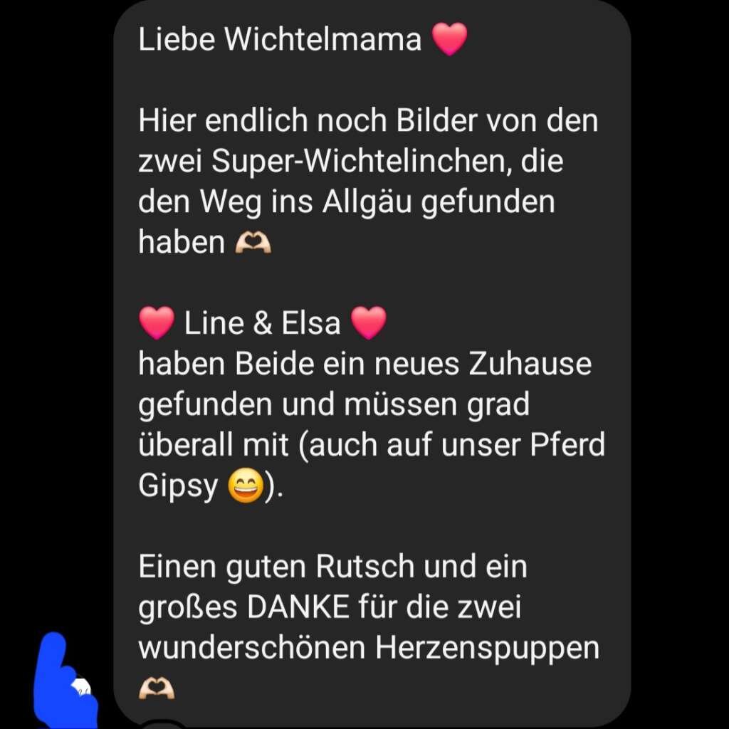 Wichtel Feedback Kundenstimmen Wichtelfabrik